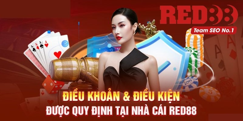 Sự quan trọng của điều khoản và điều kiện