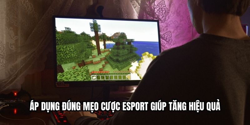 Mẹo Cược Esport Giúp Người Chơi Tăng Tỷ Lệ Chiến Thắng Áp dụng đúng mẹo cược esport giúp tăng hiệu quả