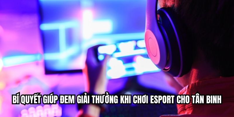 Esport Cho Tân Thủ - Hướng Dẫn Cá Cược Toàn Diện Tại RED88 Bí quyết giúp đem giải thưởng khi chơi esport cho tân binh